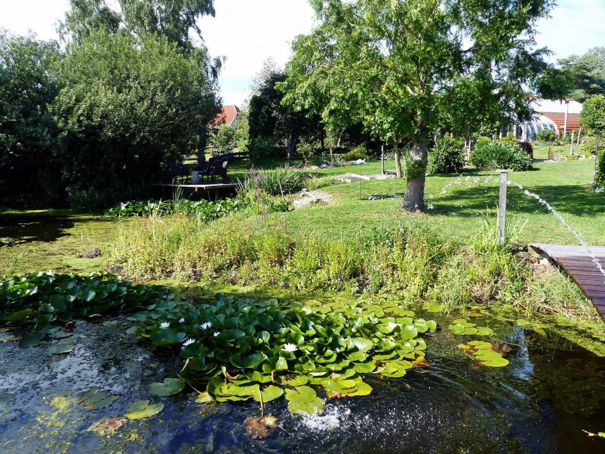 "Balmgarten" Im Naturpark Usedom, Bio Solarhaus Mit Grossem Garten 外观 照片